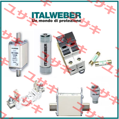 0100315  Italweber