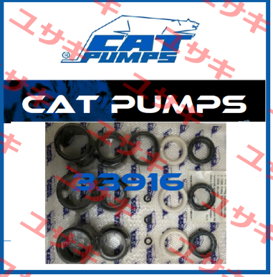 33916 Cat Pumps