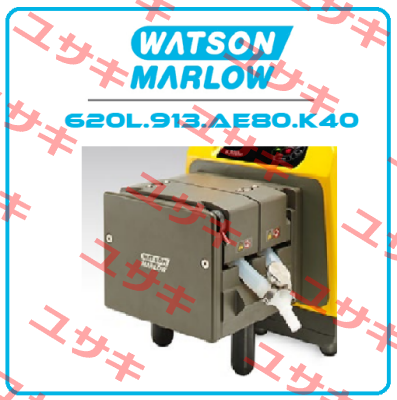 620L.913.AE80.K40 Watson Marlow