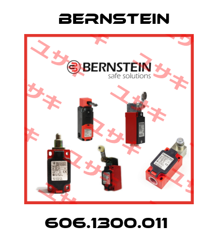 606.1300.011  Bernstein