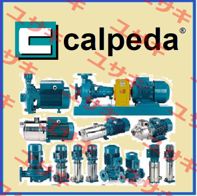 60800041000 NM4 25/200 CE  Calpeda