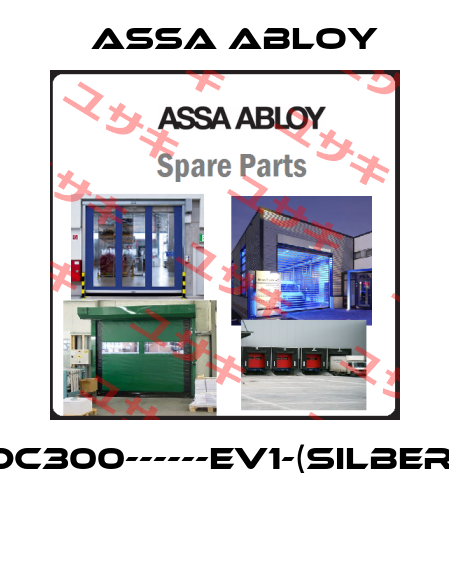 DC300------EV1-(silber)  Assa Abloy