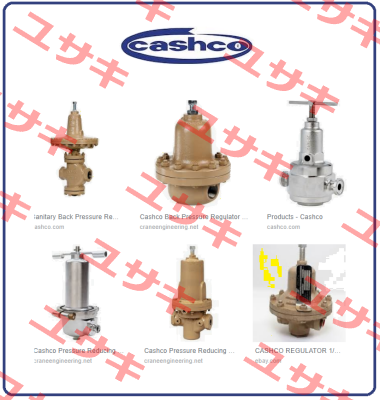 1’’ NPT D CI / CI / S2  Cashco