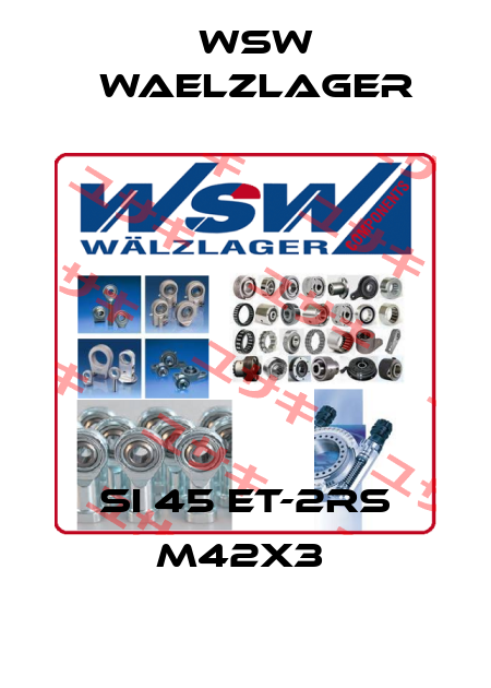 SI 45 ET-2RS M42x3  WSW Waelzlager