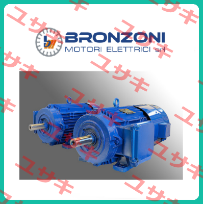 240M1403A1100.I E2 Bronzoni