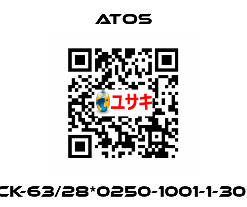 CK-63/28*0250-1001-1-30  Atos