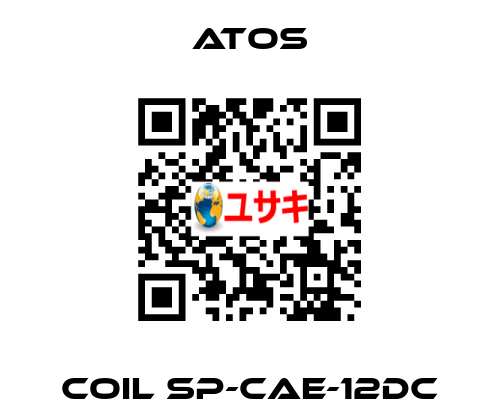 Coil SP-CAE-12DC Atos