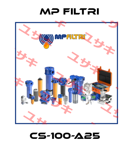 CS-100-A25  MP Filtri