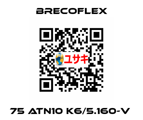 75 ATN10 K6/5.160-V  Brecoflex