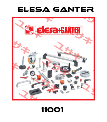 11001  Elesa Ganter