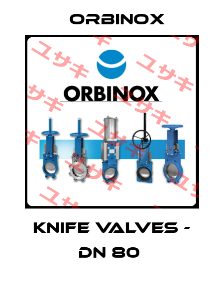 Knife Valves - DN 80  Orbinox