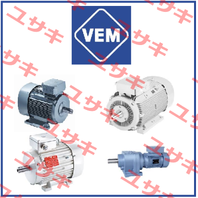 1167102 ZU MOTOR K21R 315M 4 IL KTY LL HW / 193487-03 Vem Motors