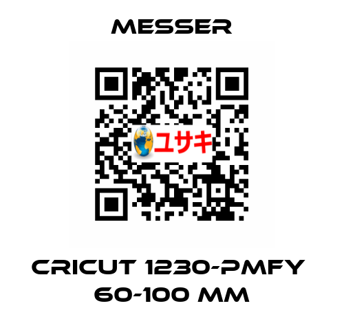 Cricut 1230-PMFY  60-100 mm Messer