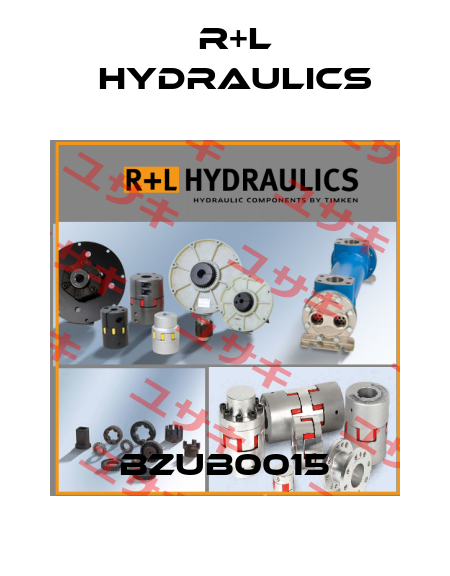 BZUB0015 R+L HYDRAULICS