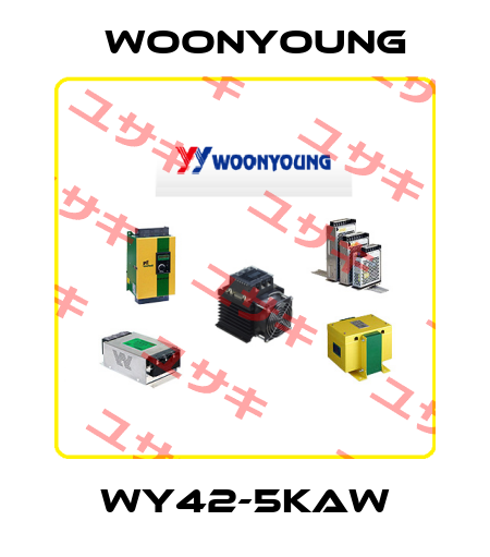 WY42-5KAW WOONYOUNG