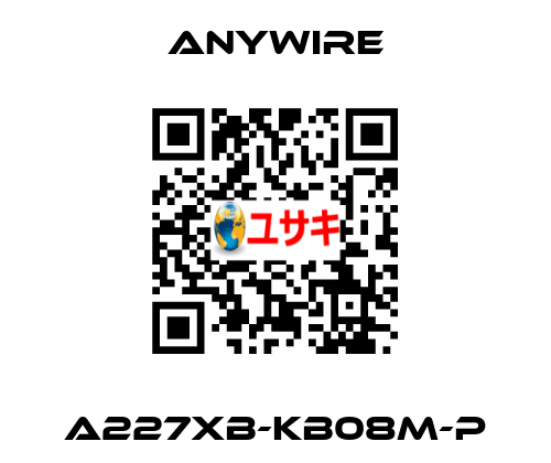 A227XB-KB08M-P Anywire