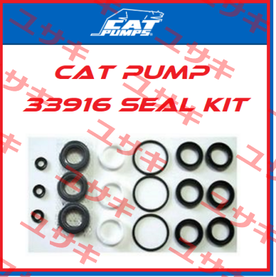 33916 Cat Pumps