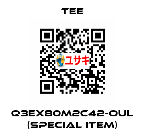 Q3EX80M2C42-OUL (special item) TEE