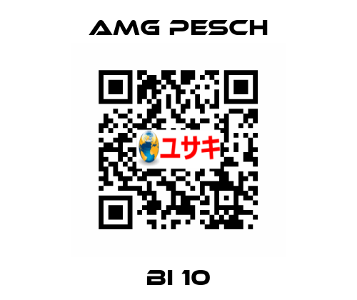 BI 10 AMG Pesch