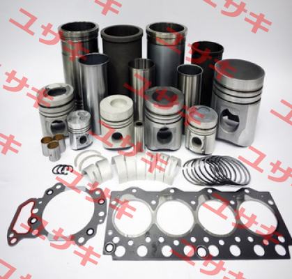 REPAIR KIT FOR GEAR QVRB2L  Hansen