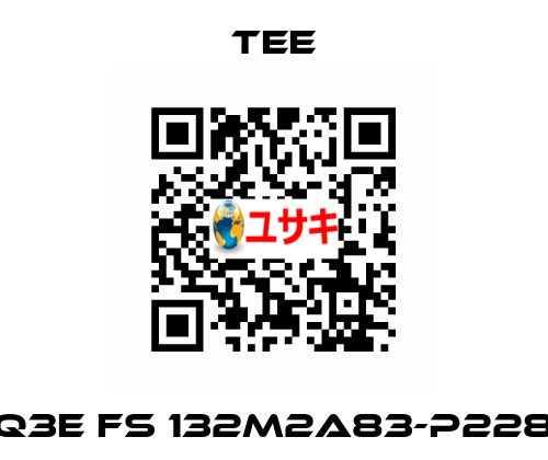 Q3E FS 132M2A83-P228 TEE