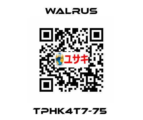 TPHK4T7-75  Walrus
