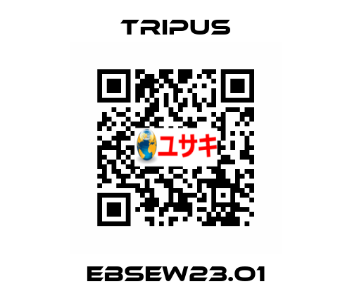 EBSEW23.O1 Tripus