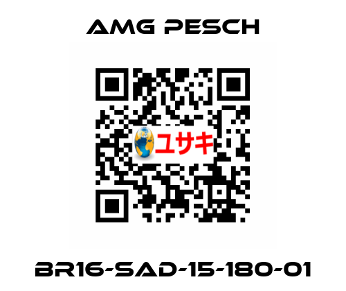 BR16-SAD-15-180-01 AMG Pesch