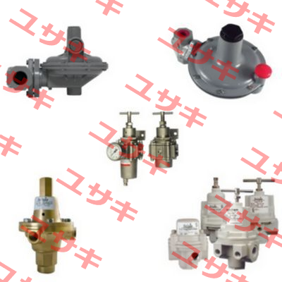 SR551-DN25DW / C081002002 Bellofram