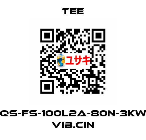 QS-FS-100L2A-80N-3KW VIB.CIN TEE