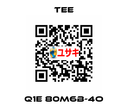 Q1E 80M6B-4O TEE