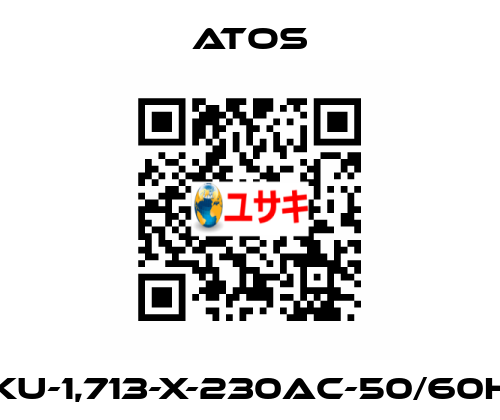 DKU-1,713-X-230AC-50/60HZ Atos