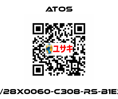 CK-40/28X0060-C308-RS-B1E3X1Z3 Atos