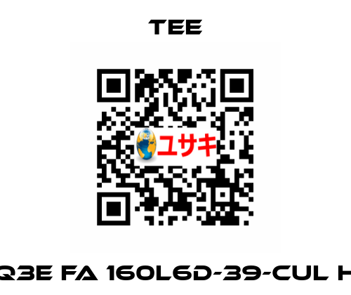 Q3E FA 160L6D-39-CUL H TEE