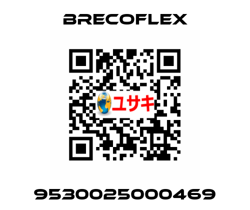 9530025000469 Brecoflex