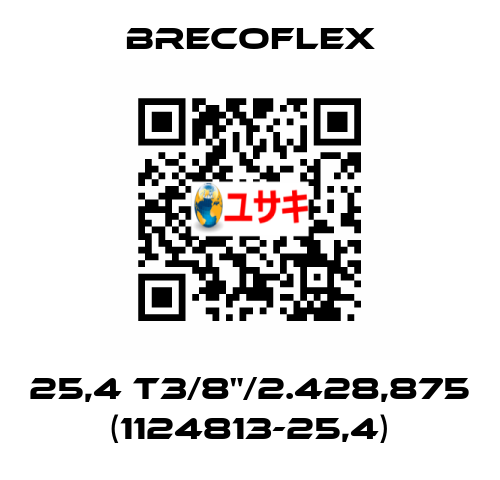 25,4 T3/8"/2.428,875 (1124813-25,4) Brecoflex