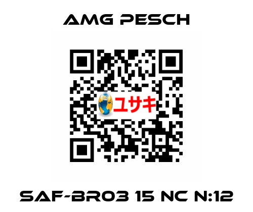 SAF-BR03 15 NC n:12 AMG Pesch