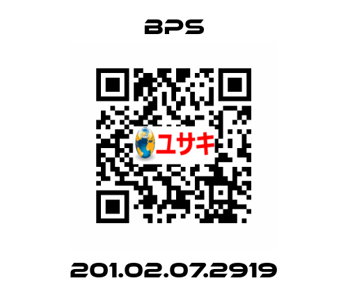 201.02.07.2919 BPS
