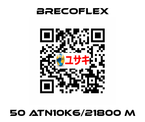 50 ATN10K6/21800 M Brecoflex