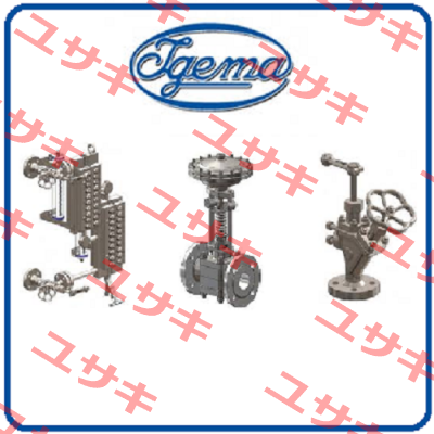 Type: A220 Igema