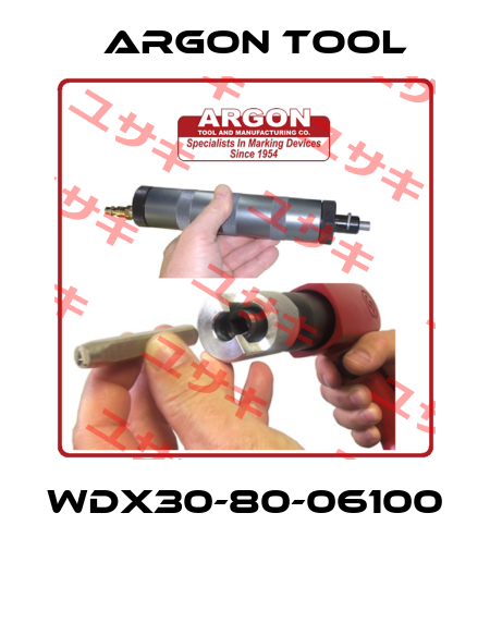 WDX30-80-06100  Argon Tool