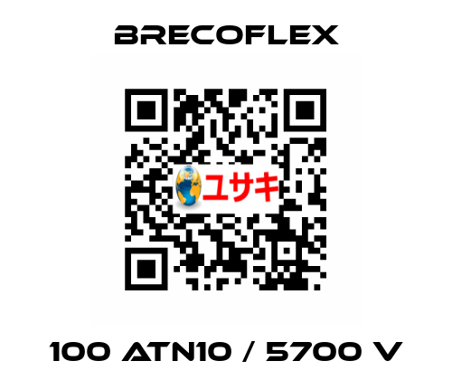 100 ATN10 / 5700 V Brecoflex
