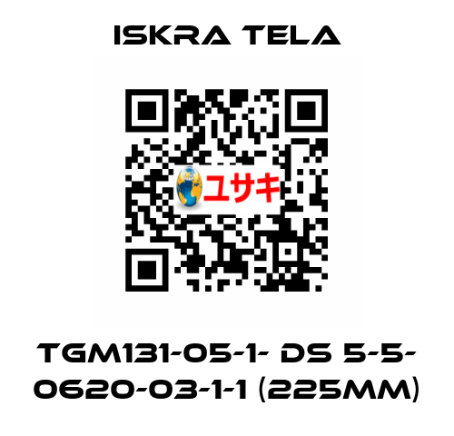 TGM131-05-1- DS 5-5- 0620-03-1-1 (225mm) ISKRA TELA
