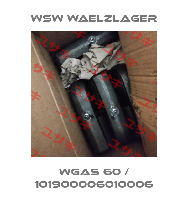 WGAS 60 / 101900006010006 WSW Waelzlager