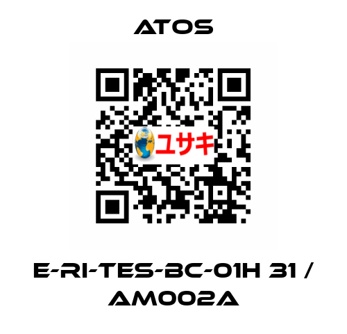 E-RI-TES-BC-01H 31 / AM002A Atos