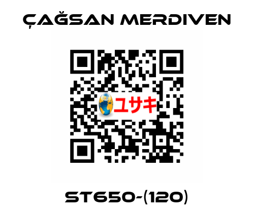 ST650-(120) Çağsan Merdiven