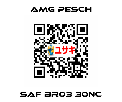 SAF BR03 30NC AMG Pesch