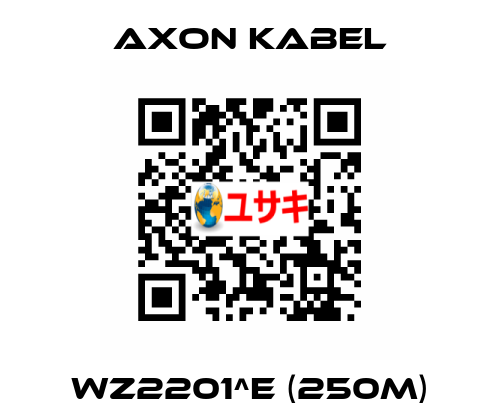 WZ2201^E (250M) AXON KABEL