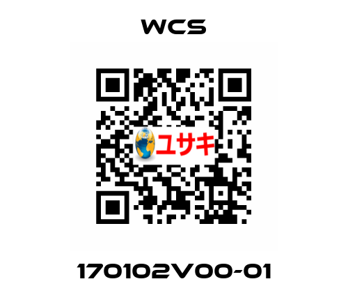 170102V00-01 WCS