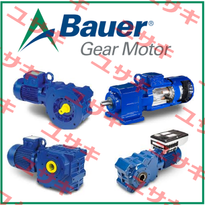 Flexible element P.NO=686416 for BG24 868 Bauer